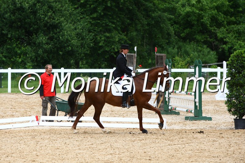 006M5415_Dressurpferde L.JPG